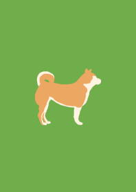 theme of a dog (Shiba Inu)