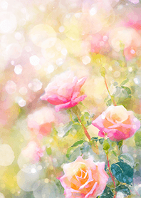 Beautiful rose flower(R2613)