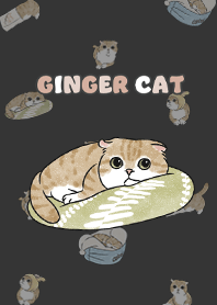 gingercat11 - carbon black