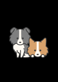 Border Collie darkmode theme