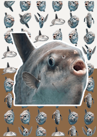 Ação ao vivo de peixe-lua Cool Brown
