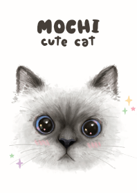 MOCHI (cute cat)