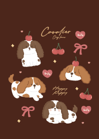 Cavalier it's cute :D