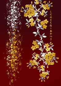 しだれ桜・暁