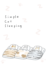 Sederhana Kucing sedang tidur