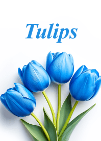 Tulips vol.19