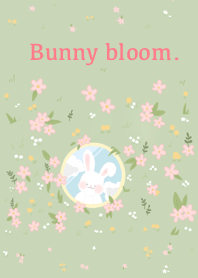 Bunny bloom.