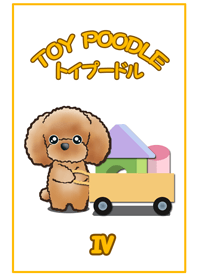 TOY POODLE トイプードル Ⅳ