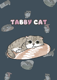 tabbycat10 / indigo
