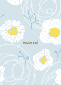 Cute pretty white flower18 from Japan
