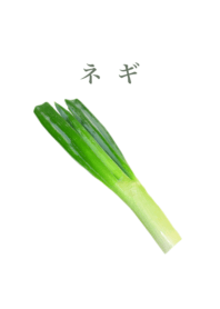 Delicious Spring onion 16