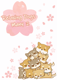 柴犬 很多放鬆的狗狗 櫻花2