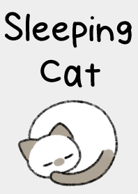 Sleeping cat 14
