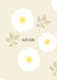 round white flowers leaves23 from Japan