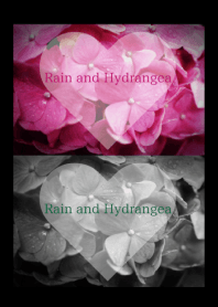 ～Rain and Hydrangea～ 6 #fresh