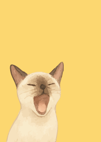 Siamese cat holiday02 lightyellow