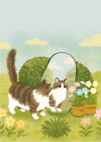 A bright day for the cat