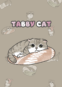 tabbycat10 / khaki