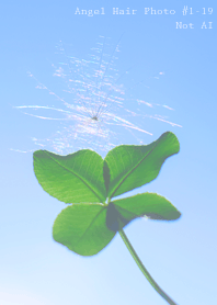 Angel Hair Photo #1-19Not AI