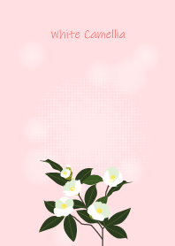 November's birth flower,White Camellia