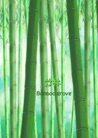 Bamboo grove *