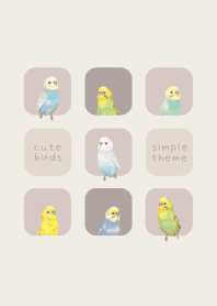 BIRDS - Budgerigar 01 - BROWN GRAY