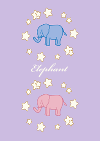 象とロマンチックな星空