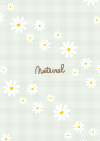 Daisy diagonally12 from Japan