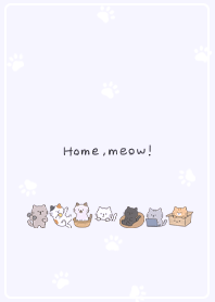 purple Relaxing Kitten at Home 02_2