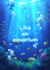 まるで水族館着せかえ