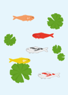 荷花葉-鯉魚