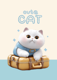 แมวขาวน่ารัก : สีฟ้า!