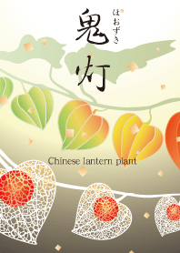 Chinese lantern plant