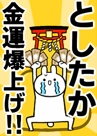 Fortune rise rabbiit[Toshitaka]