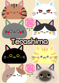 Terashima Scandinavian cute cat4