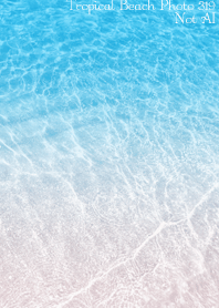 Tropical Beach Photo 319 Not AI