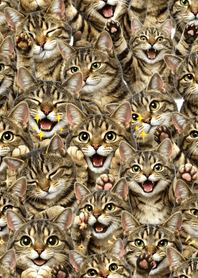 可愛！ 虎斑貓主題