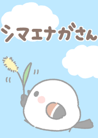 Take a walk, Mr. Shimaenaga
