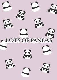 LOTS OF PANDAS/PINK BEIGE