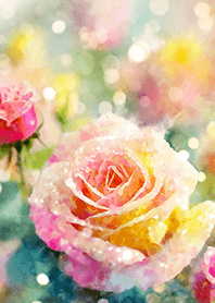 Beautiful rose flower(R1569)