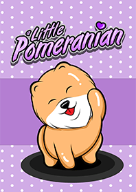 Oscar a little Pomeranian Purple