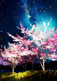 Beautiful night cherry blossoms#1256