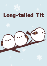 “長尾山雀”日本野鳥 4