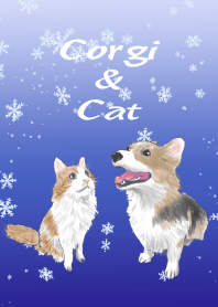 Corgi & Cat