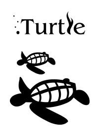 Turtle-WHITE-