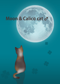 Moon and Calico cat