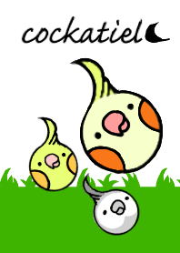 cockatiel