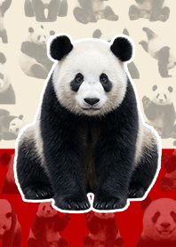 真実熊貓 米色和紅色