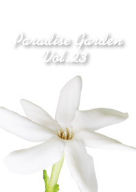 PARADISE GARDEN-23