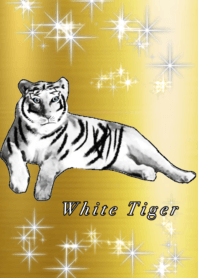 Lucky White tiger